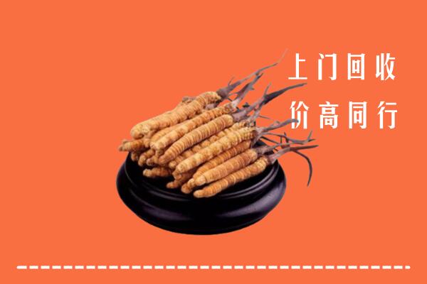 高价求购：重庆市万州回收散虫草