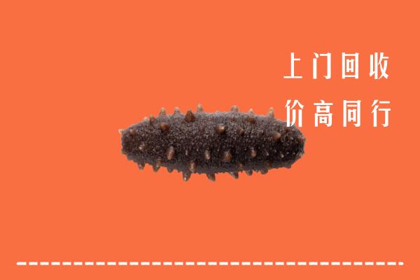 高价求购：重庆市万州回收海参