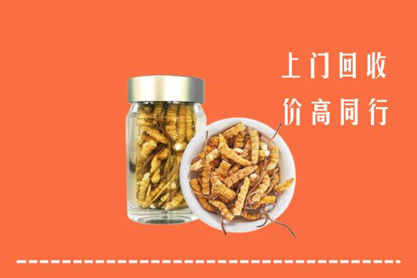 重庆市万州回收冬虫夏草